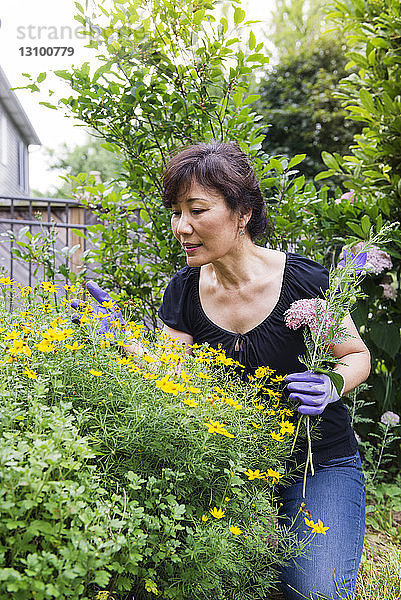 Ältere Frau untersucht Blumen im Garten