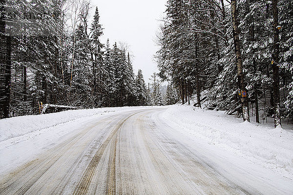 Schneebedeckte Straße inmitten von Nadelbäumen im Winter