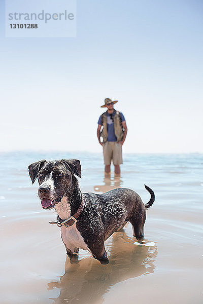 Mann steht mit Hund im Meer gegen den Himmel