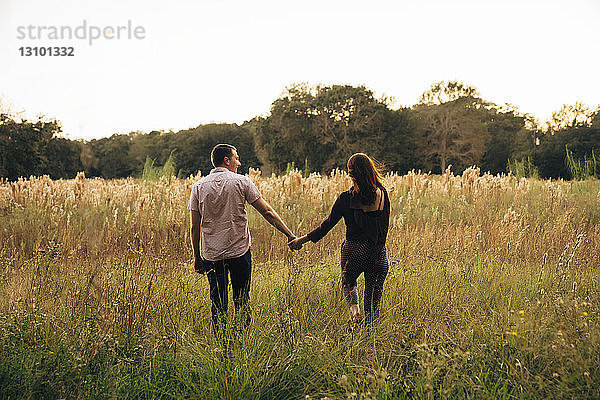 Rückansicht eines Paares  das sich beim Spaziergang auf einem Grasfeld gegen den klaren Himmel im Park an den Händen hält