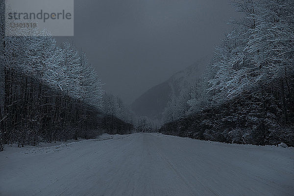 Schneebedeckte Straße mit Bäumen gegen den Himmel in der Nacht