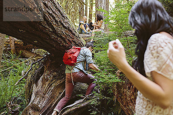 Freunde genießen im Wald