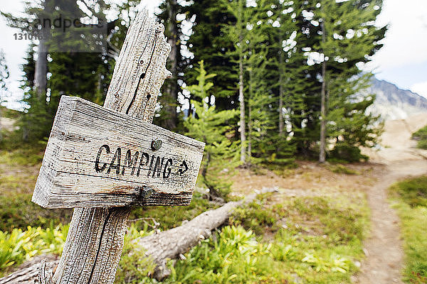 Camping-Schild im Wenatchee National Forest