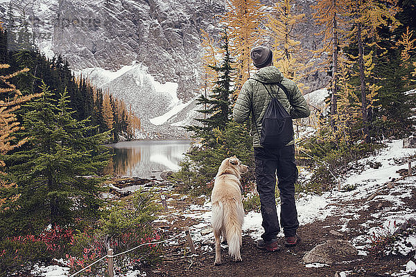 Rückansicht eines Mannes mit Hund im Wald im Winter