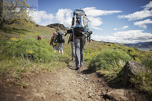 Rückansicht von Wanderern mit Rucksack beim Bergwandern