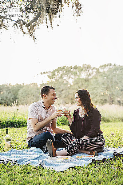 Ein lächelndes Paar stößt auf Getränke an  während es im Park auf einer Decke gegen den Himmel sitzt