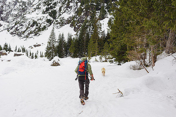 Rückansicht eines männlichen Wanderers  der auf einem schneebedeckten Feld hinter dem Golden Retriever herläuft