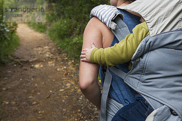 Rückansicht einer Mutter  die einen Sohn im Kinderwagen trägt  während sie im Wald spazieren geht