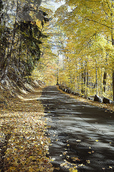 Unordentliche Straße zwischen Bäumen im Herbst