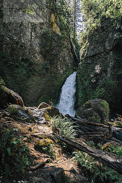 Szenische Ansicht des Wasserfalls im Wald