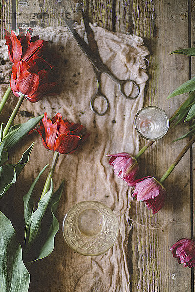Draufsicht auf Tulpen und Schere auf Holztisch