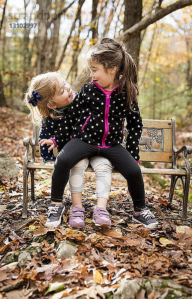 Schwestern sehen einander an  während sie im Herbst auf einer Bank im Wald sitzen
