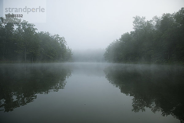 Symmetrieansicht von Bäumen am See gegen den Himmel bei Nebelwetter