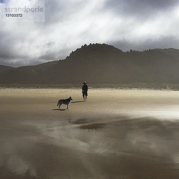 Mann mit Hund allein am Strand