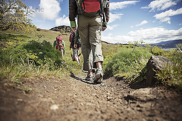 Rückansicht von Wanderern  die auf einem Hügel gehen
