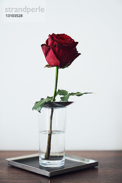 Eine einzelne rote Rose in einem Glas mit Wasser auf einem Tablett