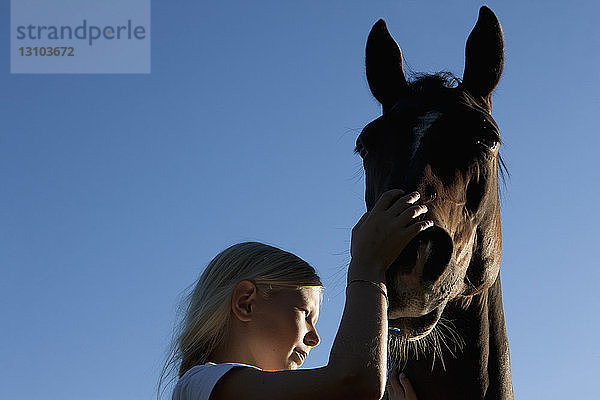 Mädchen streichelt die Schnauze eines Pferdes unter blauem Himmel