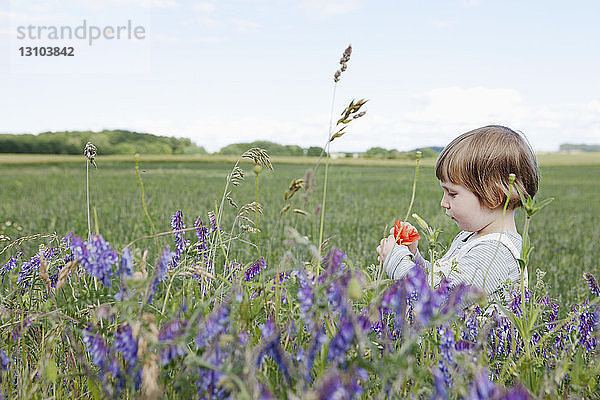 Neugieriges Mädchen pflückt Wildblumen in einem ländlichen Feld