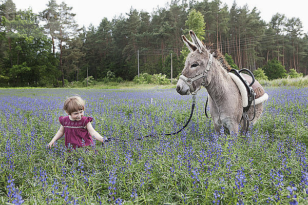Mädchen führt Esel durch ein Feld mit Wildblumen