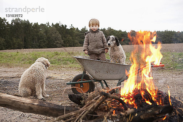 Mädchen in Schubkarre mit Hund bei Lagerfeuer