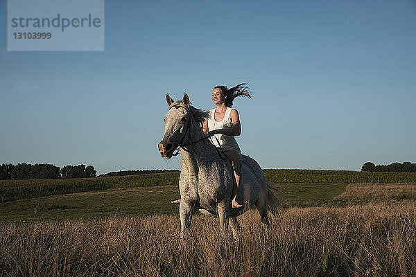 Mädchen reitet auf einem Pferd in einem sonnigen  ländlichen Feld