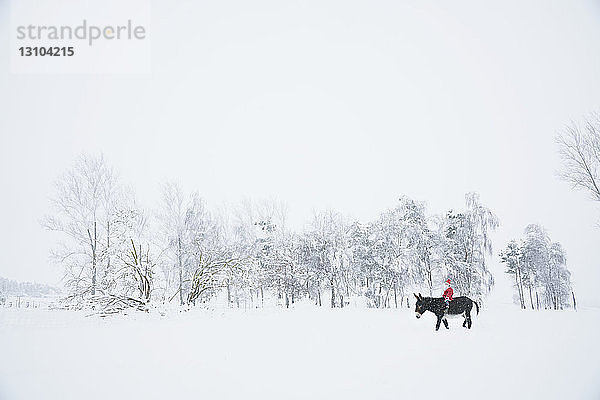 Mädchen mit Weihnachtsmannmütze reitet auf Esel in verschneitem Feld
