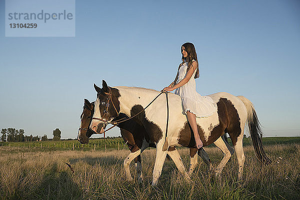 Mädchen reitet ohne Sattel auf einem Pferd in einem ländlichen Feld