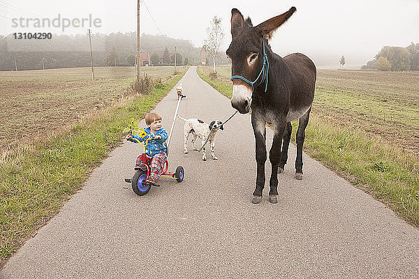 Mädchen auf Dreirad mit Esel und Hund auf Landstraße