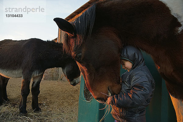 Mädchen füttert Pferd