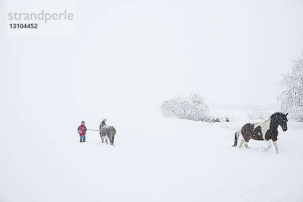 Mädchen in verschneitem Feld mit Esel und Pferd
