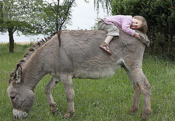 Niedliches Mädchen auf Esel im Feld liegend