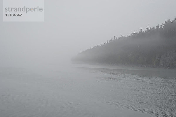 Ruhiger Nebel über dem Meer  Knik Valley  Anchorage  Alaska  USA