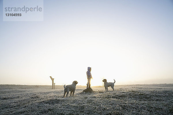 Mädchen im gefrorenen Winterfeld mit Hunden