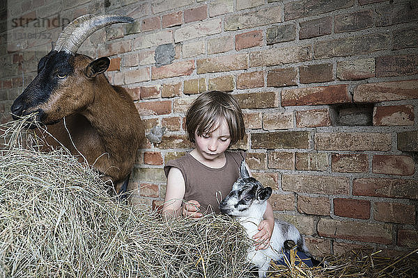 Mädchen sitzt im Heu mit Ziegen in der Scheune