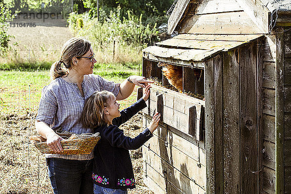Frau und Mädchen sammeln Eier aus einem Hühnerstall.