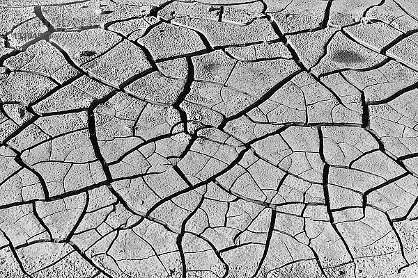 Detail einer rissigen Wüstenplaya auf Salt Flats