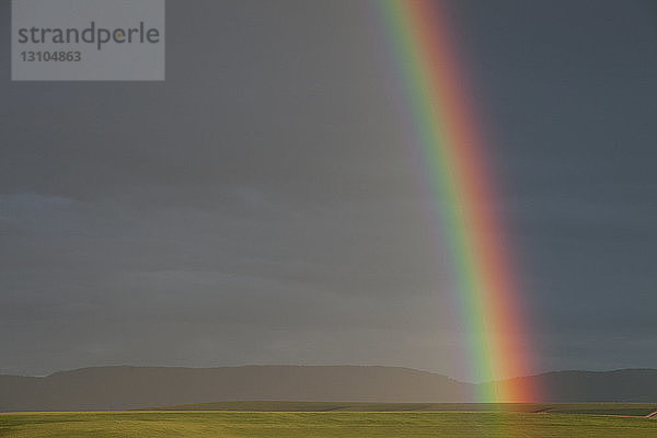 Ein Regenbogen über den Weizenfeldern im Nordosten von Oregon  USA