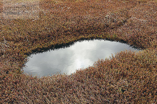 Gezeitenbecken mit stehendem Wasser mit Sumpfgräsern in der Abenddämmerung in einem nationalen Meeresufer-Reservat in Kalifornien  USA
