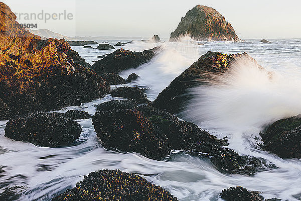 Muscheln bedeckten Felsen im Vordergrund mit brechenden Wellen entlang der Küstenlinie in der Abenddämmerung  McClures Beach  Point Reyes National Seashore  Kalifornien  USA.