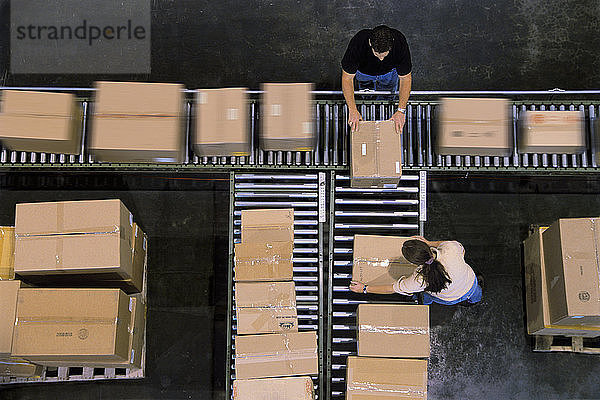 Lagerarbeiter organisieren Kartons  die sich auf einem Förderband in einem Distributionslager bewegen.
