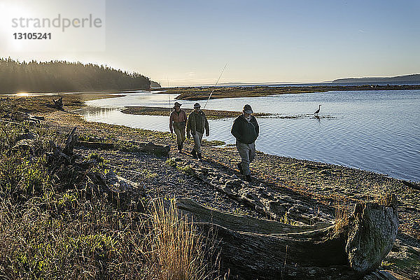 Zwei Fliegenfischer und ein Führer gehen an einem großen Blaureiher entlang einer Salzwasser-Strandmündung vorbei  während sie auf Indian Island im nordwestlichen Bundesstaat Washington (USA) an der Küste von Searun Cutthroat Forelle und Lachs fischen.