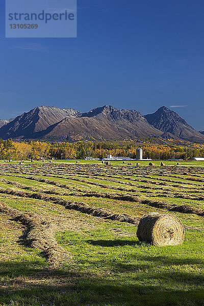 Ein Heuballen im Vordergrund auf einem abgeernteten Feld  die Talkeetna Mountains im Hintergrund  Süd-Zentral-Alaska; Palmer  Alaska  Vereinigte Staaten von Amerika