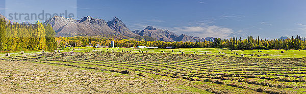 Heuballen auf einem abgeernteten Feld  die Talkeetna Mountains im Hintergrund  Süd-Zentral-Alaska; Palmer  Alaska  Vereinigte Staaten von Amerika