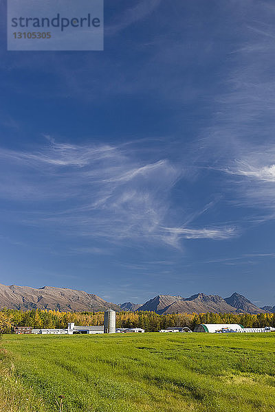 Ein Getreidesilo ragt aus einer Gruppe von landwirtschaftlichen Nebengebäuden jenseits eines grünen Feldes heraus  die Chugach Mountains im Hintergrund  Süd-Zentral-Alaska; Palmer  Alaska  Vereinigte Staaten von Amerika
