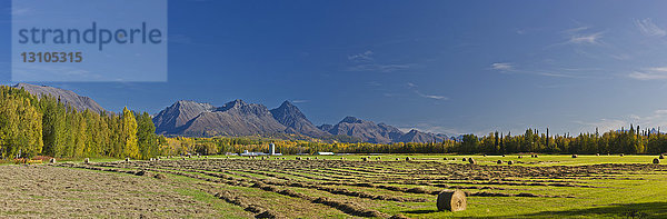 Heuballen auf einem abgeernteten Feld  die Talkeetna Mountains im Hintergrund  Süd-Zentral-Alaska; Palmer  Alaska  Vereinigte Staaten von Amerika