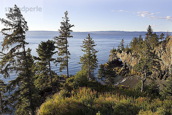 Landschaftlicher Blick auf einen natürlichen Bogen durch die Klippen bei Ebbe in der Halibut Cove  Alaska im Sommer