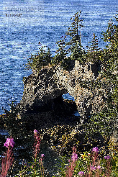 Landschaftlicher Blick auf einen natürlichen Bogen durch die Klippen bei Ebbe in der Halibut Cove  Alaska im Sommer