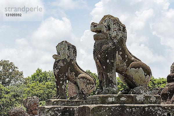 Mit Flechten bedeckte steinerne Löwen bewachen den Tempel  East Mebon  Angkor Wat; Siem Reap  Provinz Siem Reap  Kambodscha