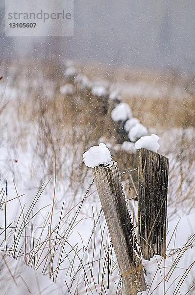 Schneebedeckte Zaunpfähle im Winter; Golden  British Columbia  Kanada