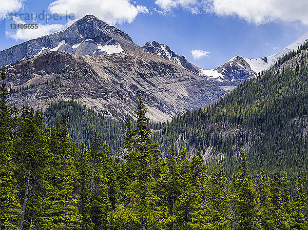 Schroffe kanadische Rocky Mountains mit einem Wald im Tal; Jasper  Alberta  Kanada